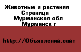  Животные и растения - Страница 2 . Мурманская обл.,Мурманск г.